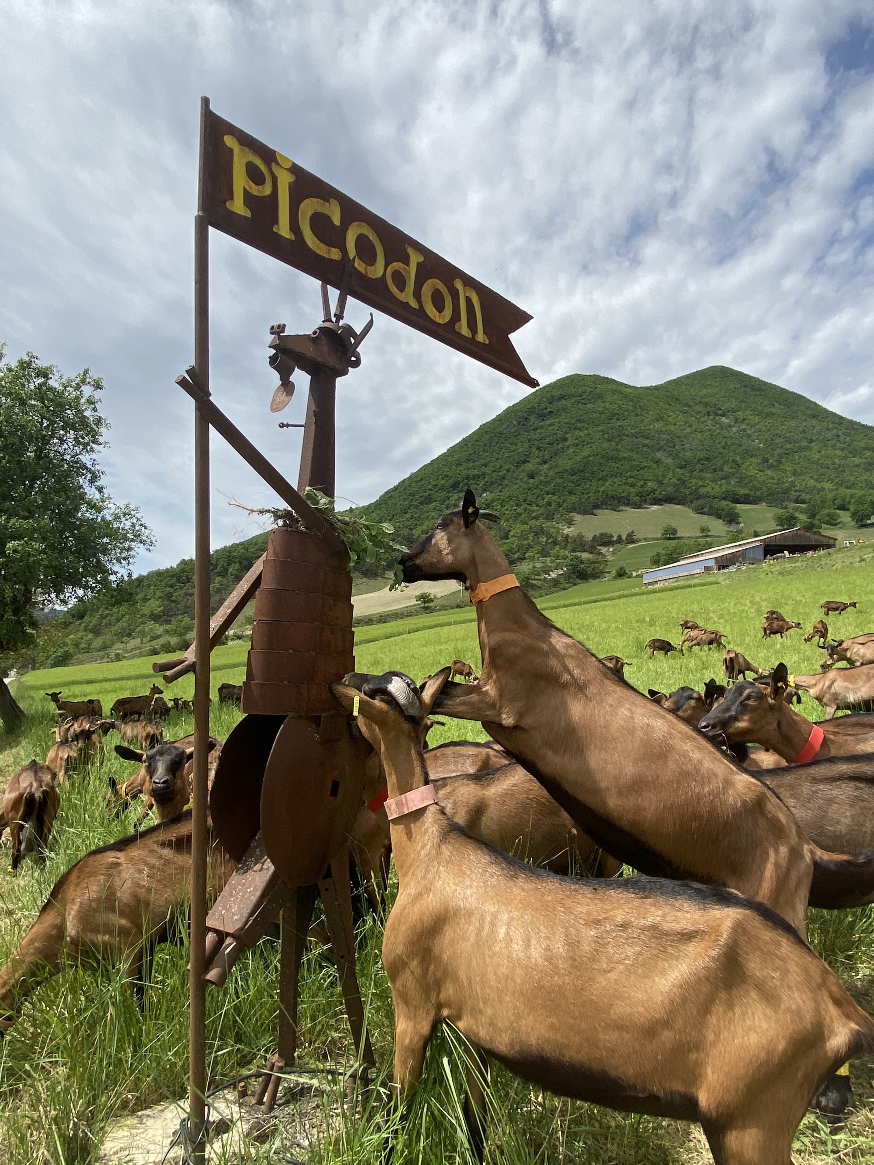 Ferme Pracoutel à Vesc