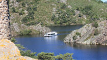 BATEAU-CROISIÈRE PROMENADE SUR LES GORGES DE LA LOIRE