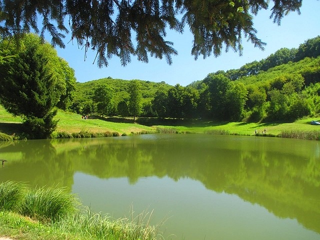 Les Etangs du Thivoley