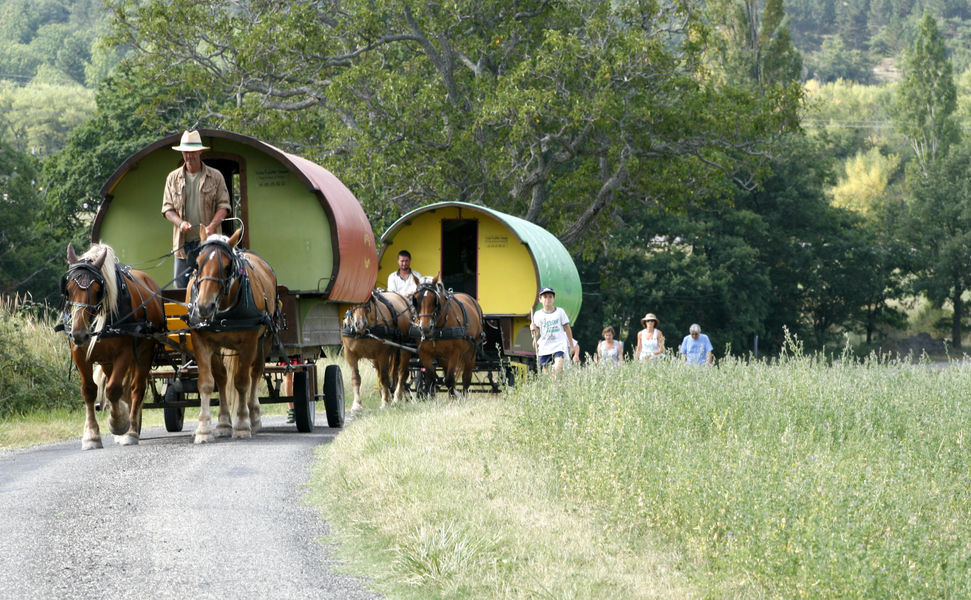 les roulottes en famille