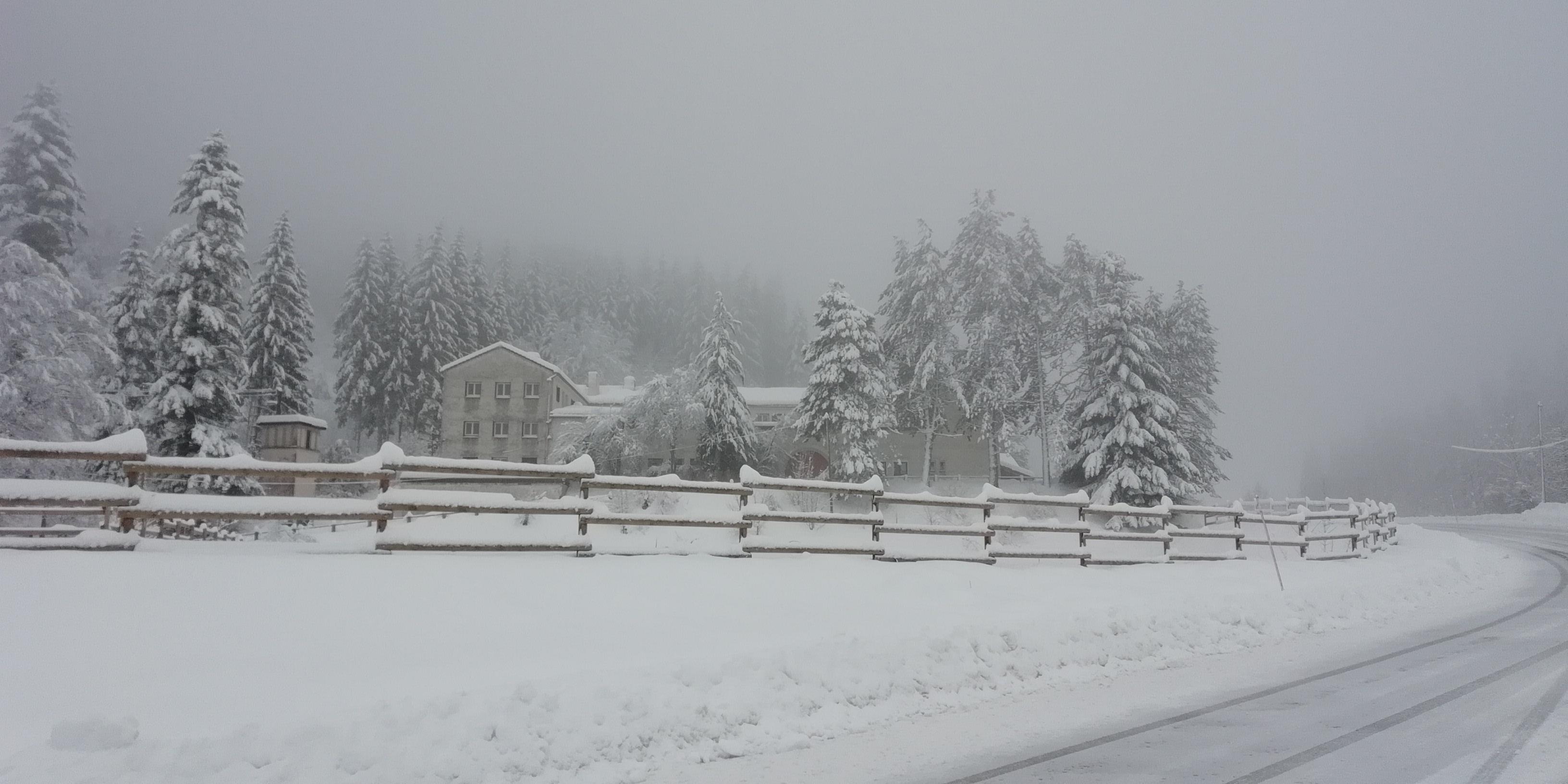 Vu de la route en hiver