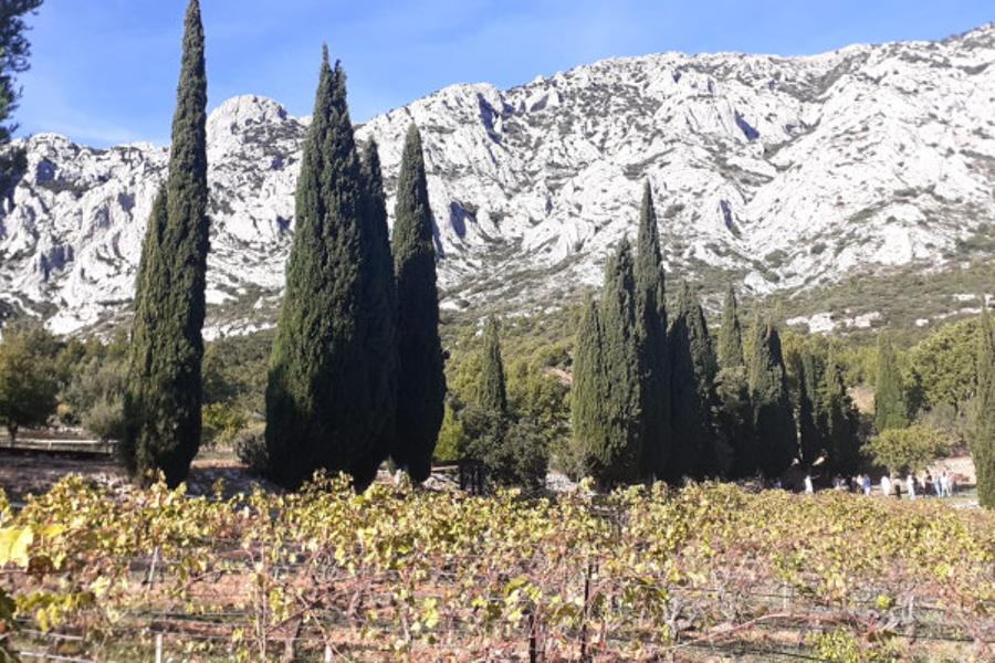 Vignobles et Terroir Aixois