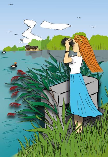 Physalis et les étangs