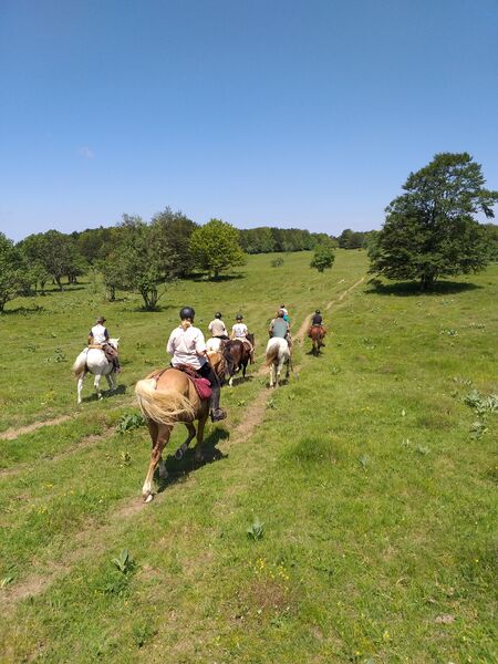 Randonnée équestre sur le Plateau de Retord