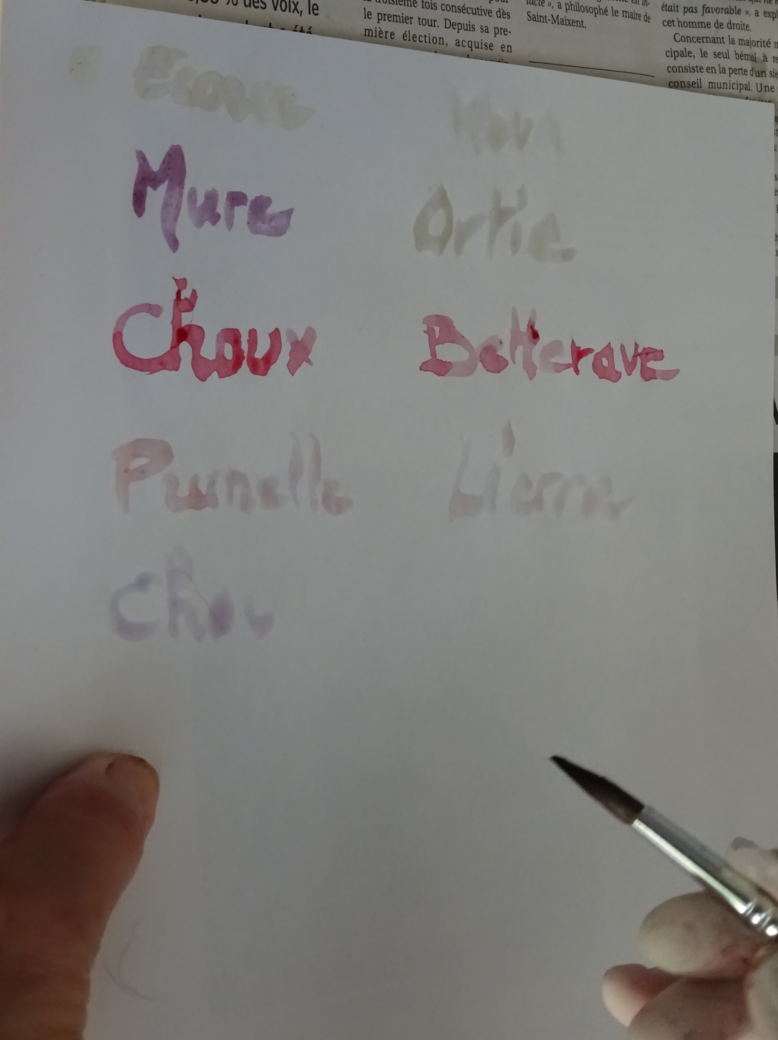 Atelier encres végétales