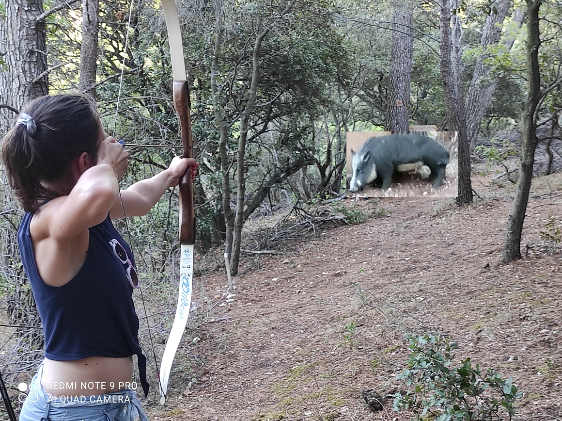 Tir à l'arc, parcours nature