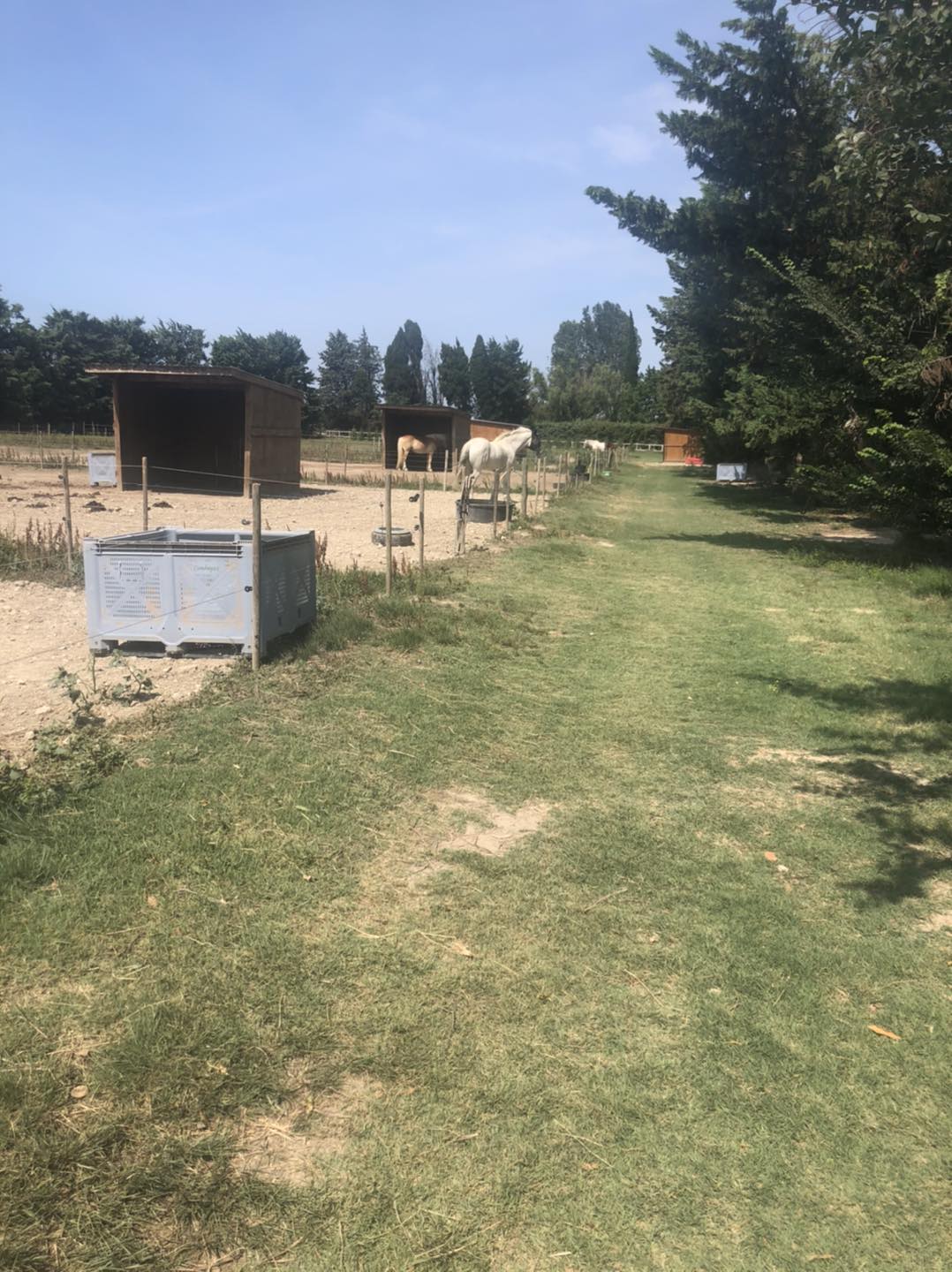 Les Ecuries de Maillane, Maillane - photo 3