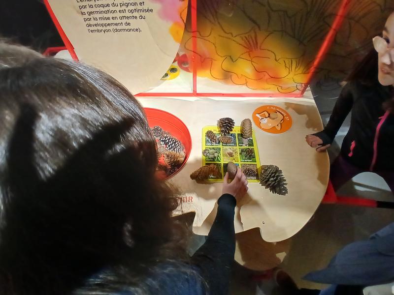 Expo Graines : comment naissent les plantes ? Expo Graines : comment naissent les plantes ?