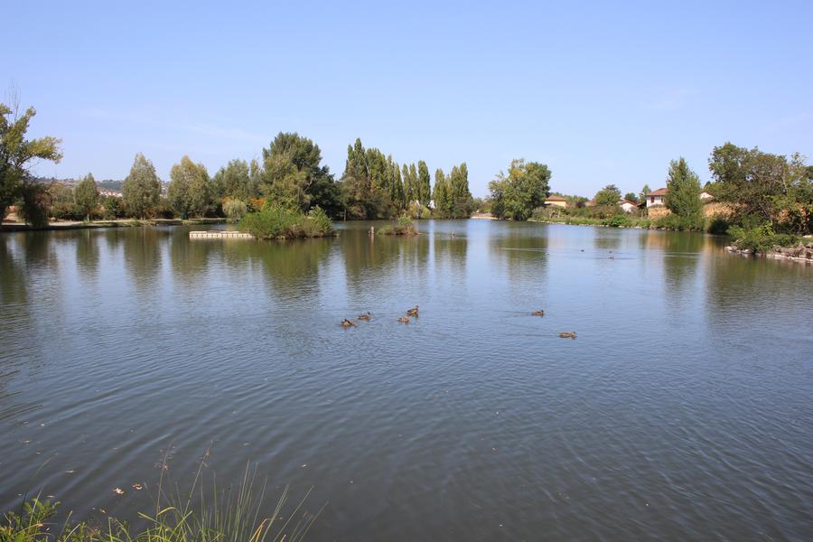 Etang Touristique d'Ambérieux d'Azergues_Ambérieux