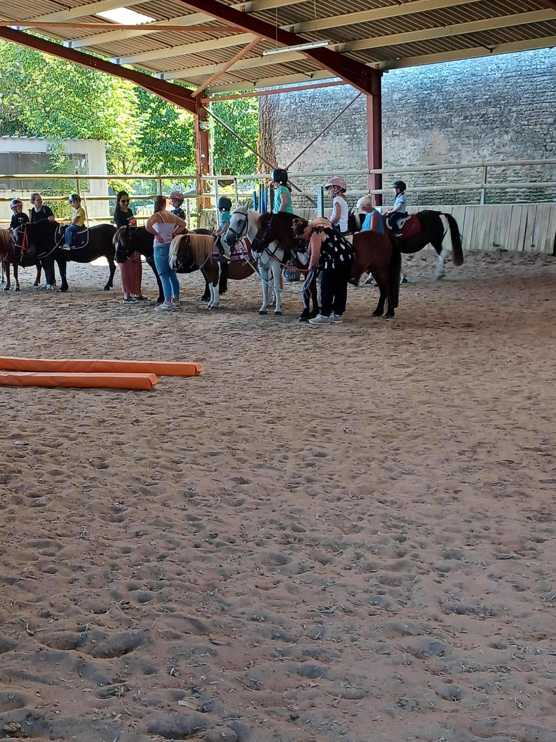 Poney Eveil