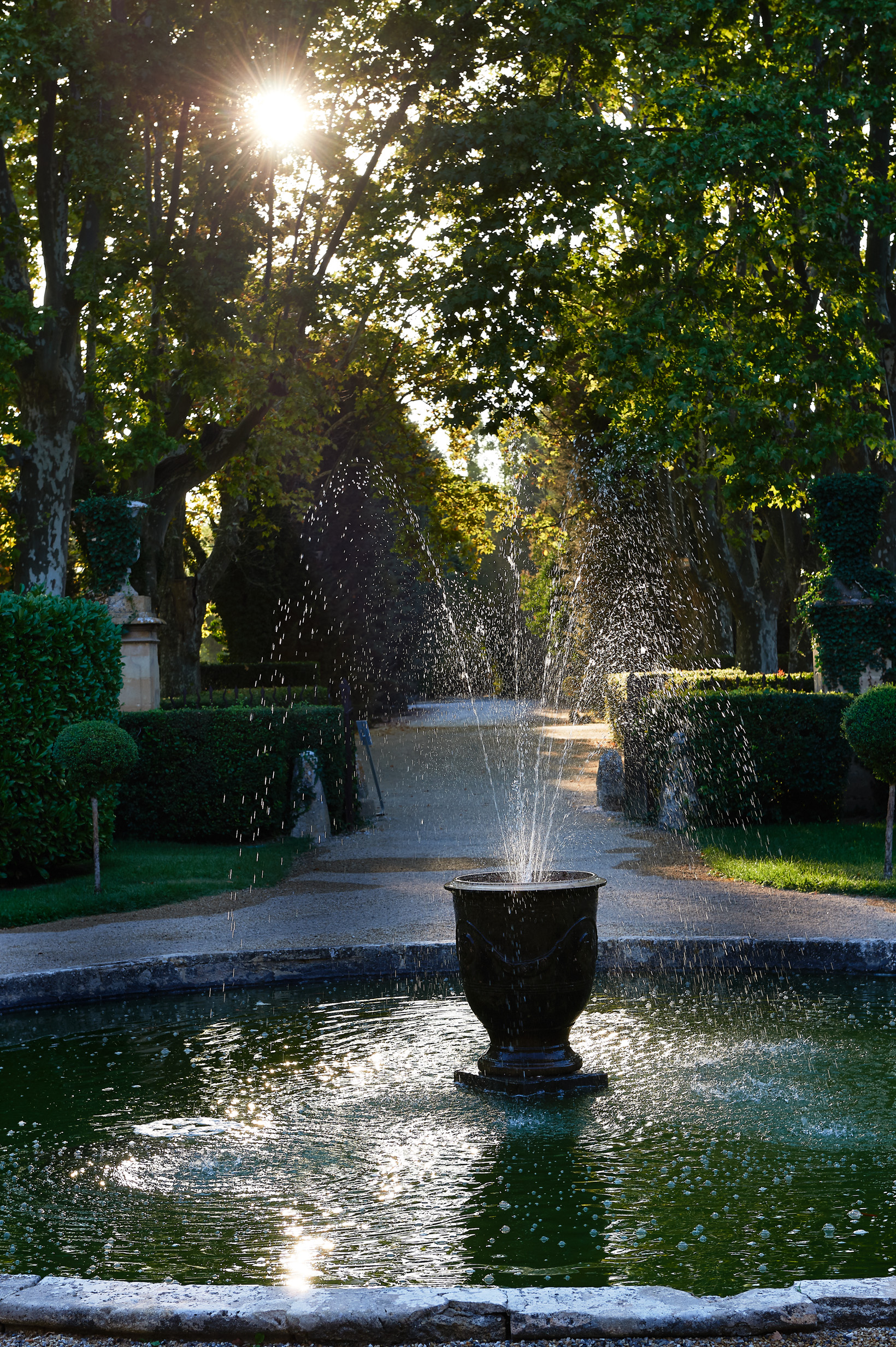 Brasserie du Château de la Pioline, Aix-en-Provence - photo 7