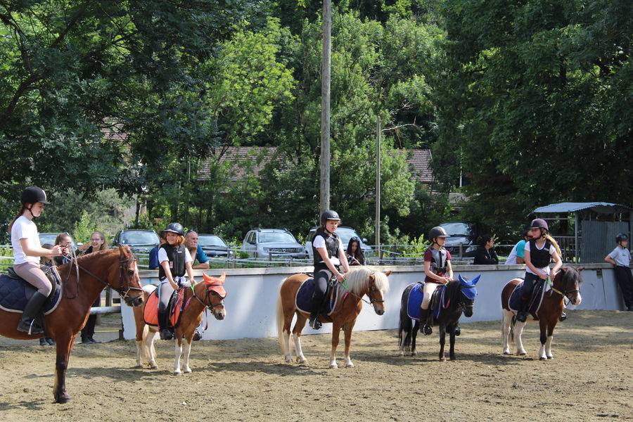 Centre équestre de Thônes