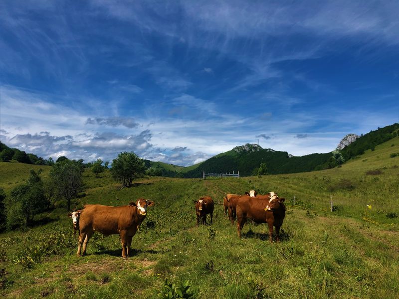 Randonnée du Grand Colombier depuis Munet