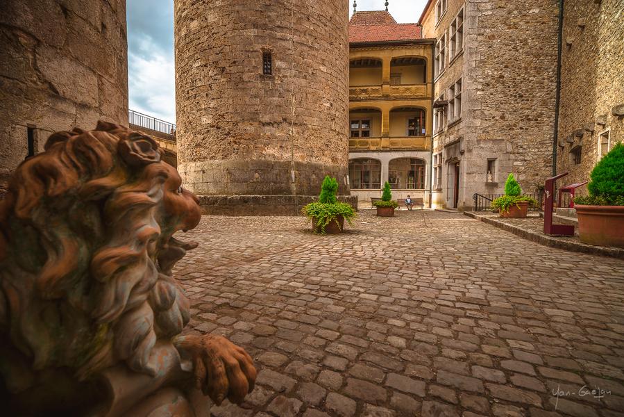 Domaine et Château de Montrottier