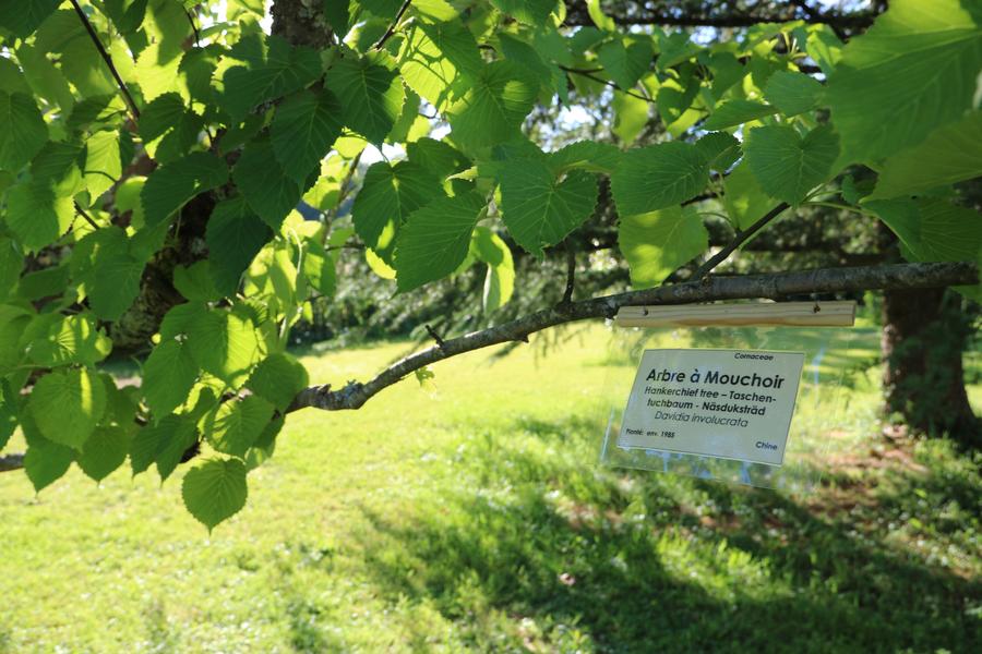 Arbres et nature au Domaine de la Garde_Bourg-en-Bresse