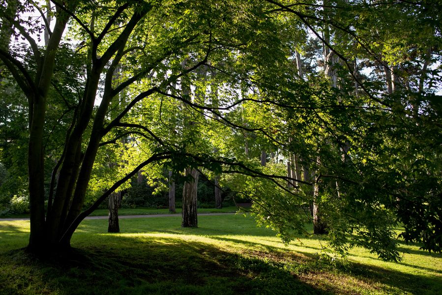 Les bois du Parc floral 