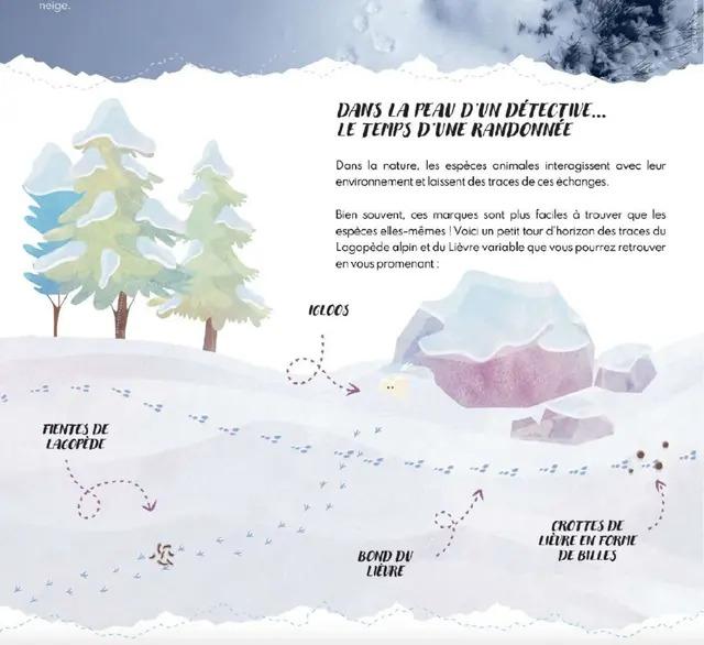 Exposition « Sur les traces des espèces blanches »_Le Monêtier-les-Bains