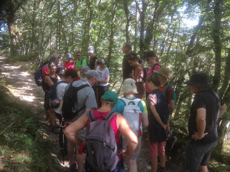 Balade de l'aqueduc de l'Yzeron