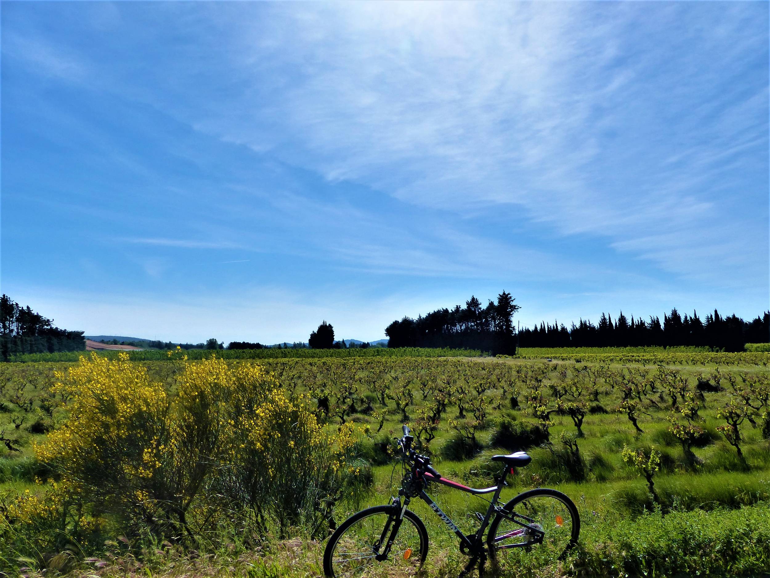 SÉNAS - Perrier Redon à vélo, Sénas - photo 3