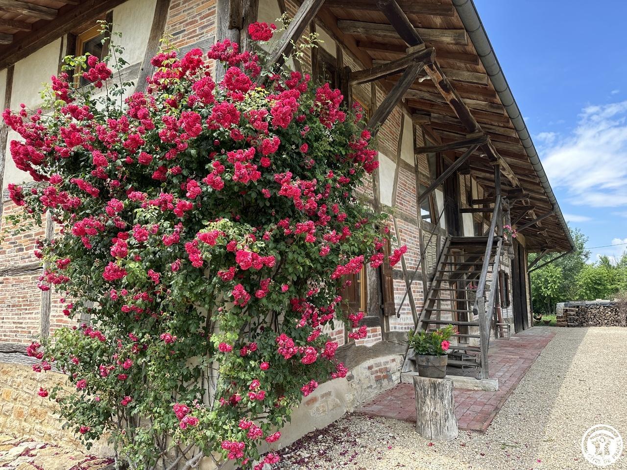 La ferme du Violay