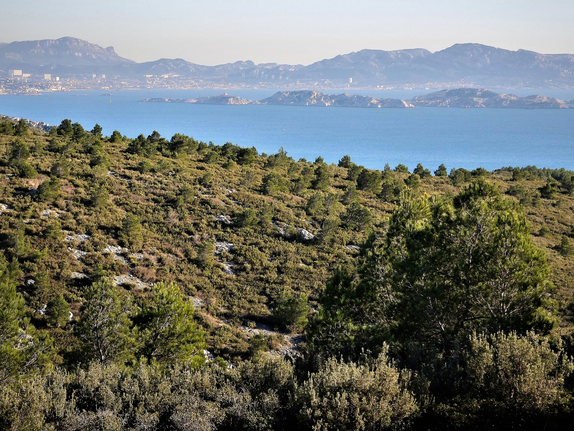 Bourgailles Caucarières, Ensuès-la-Redonne - photo 2