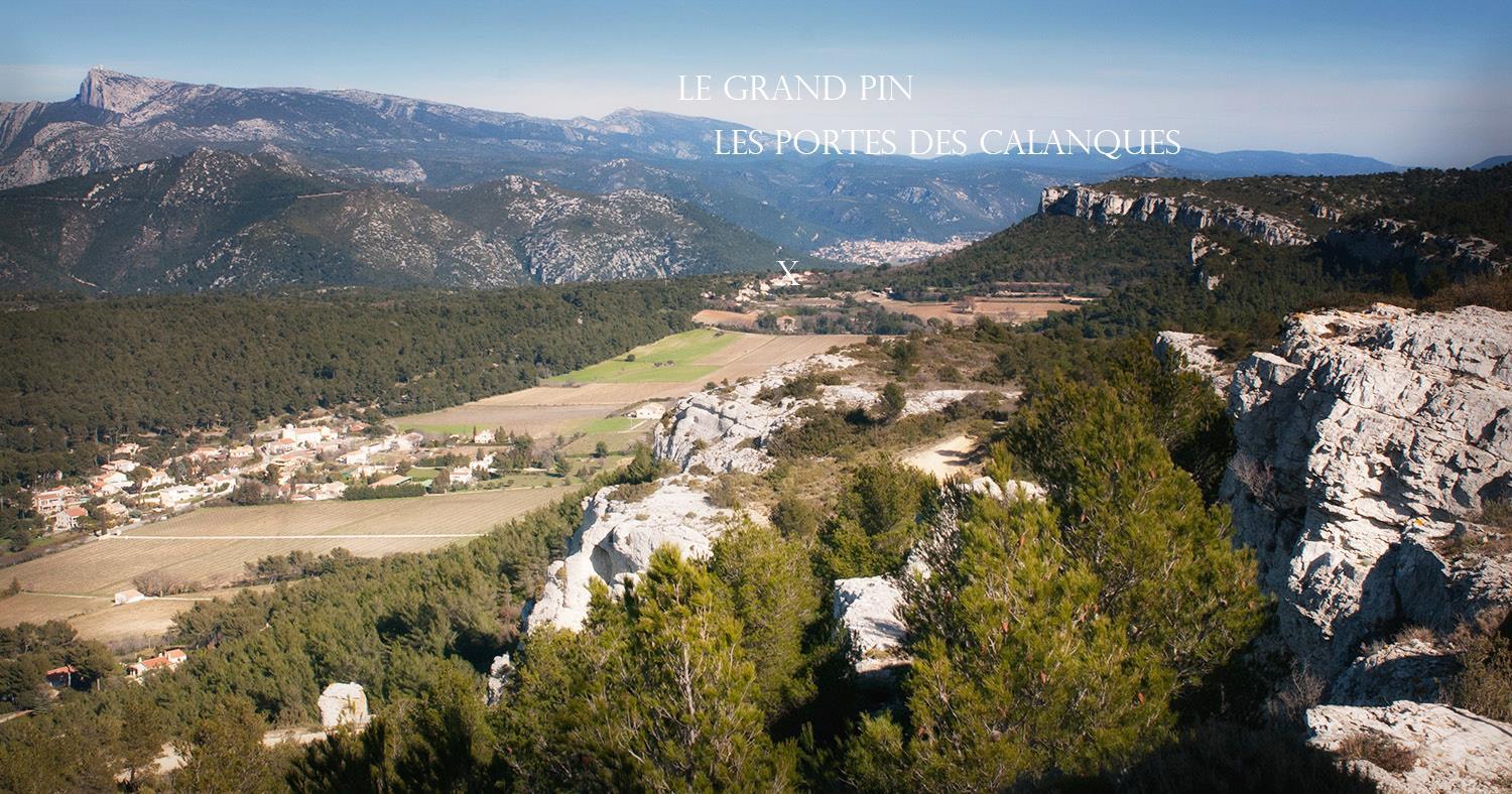 Le Grand Pin, Roquefort-la-Bédoule - photo 26