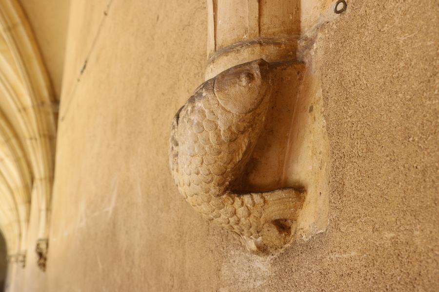 Visite Détails cachés_Bourg-en-Bresse