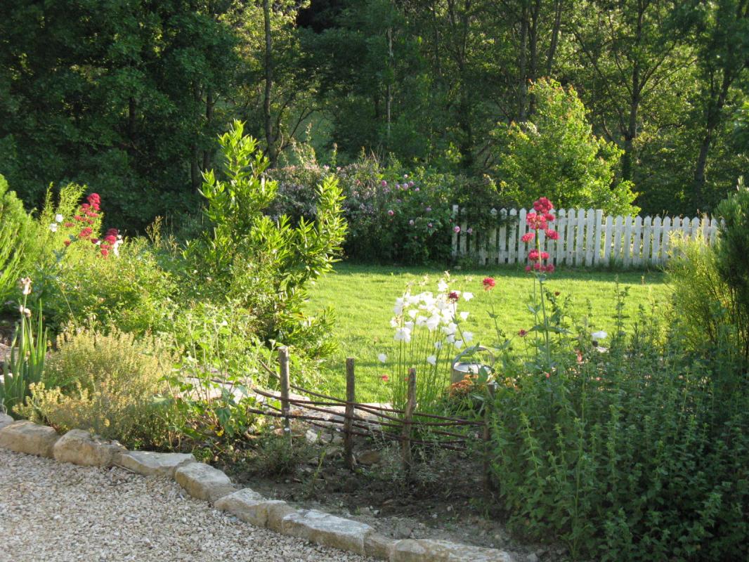 campanules et valérianes se resèment à foison