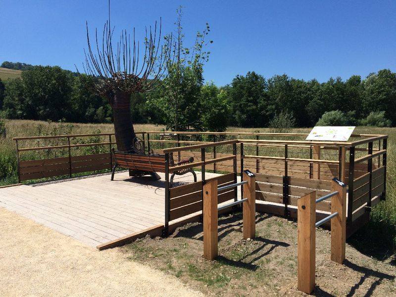 Station découverte - l'arbre sur son banc