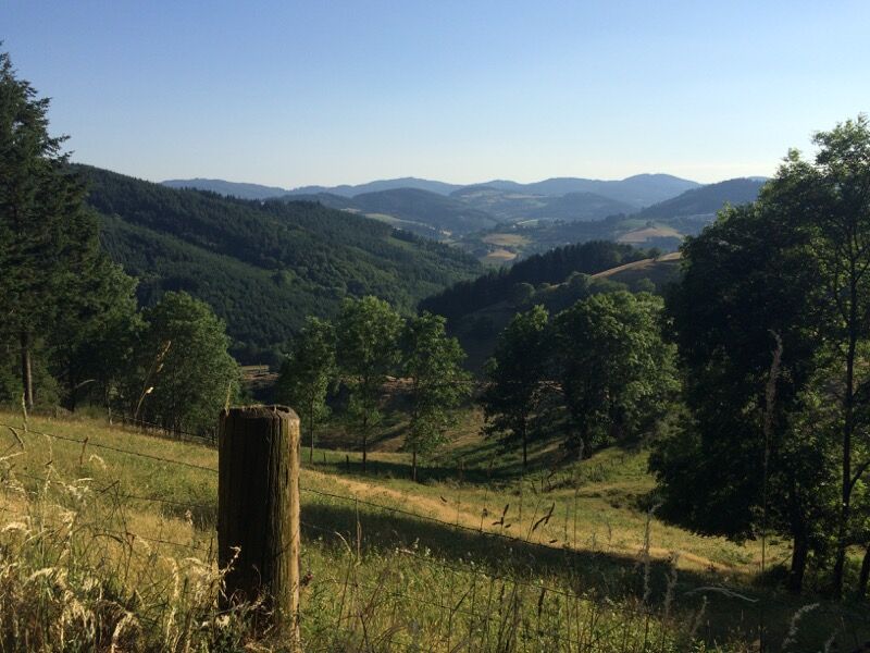 CIRCUIT 8 - A TRAVERS LA FORET DE LA PYRAMIDE