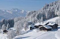 Chalets à la Rosière, sur les hauteurs de Samoëns