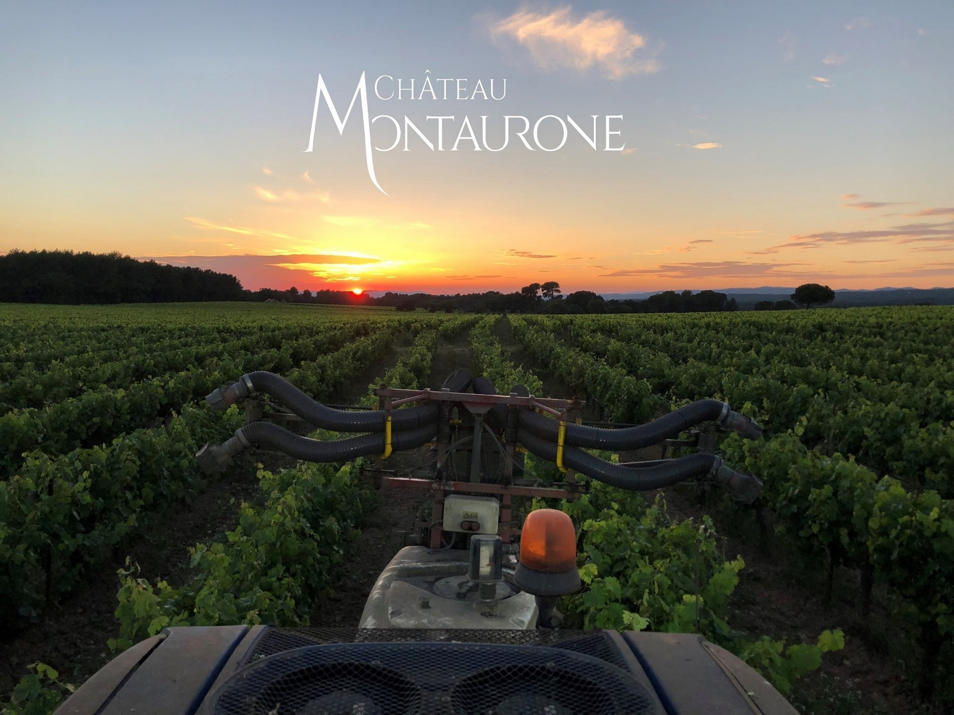 Château Montaurone - photo 2