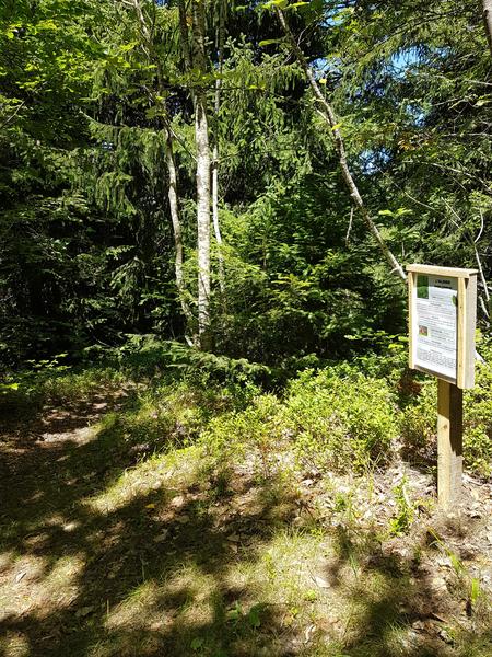 Arboretum Alpe du Grand Serre