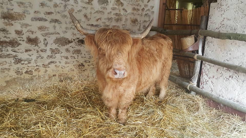 Parc animalier de Janvry