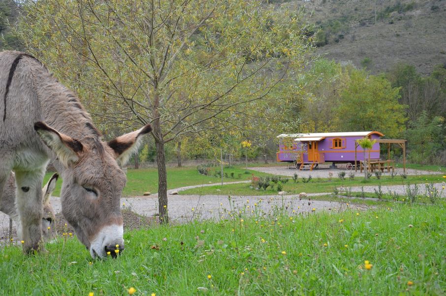 Les Roulottes d'Ardèche - Mériva