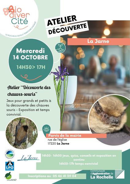 Atelier - Découverte des chauves-souris