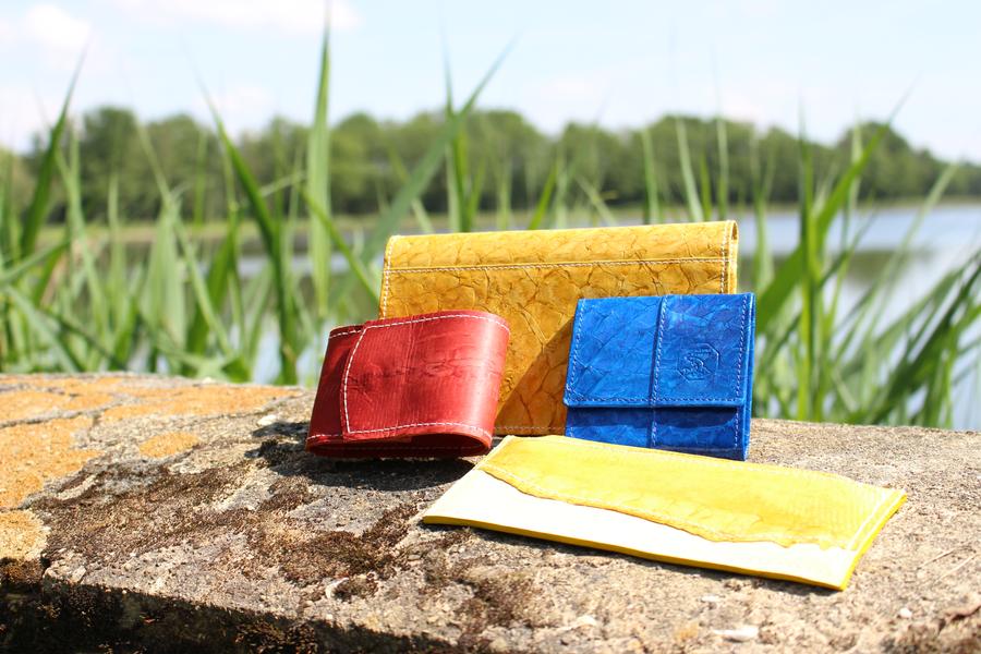 Excursion : L'étang et ses facettes