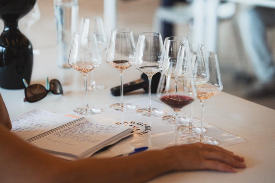 Vignobles et Terroir Aixois