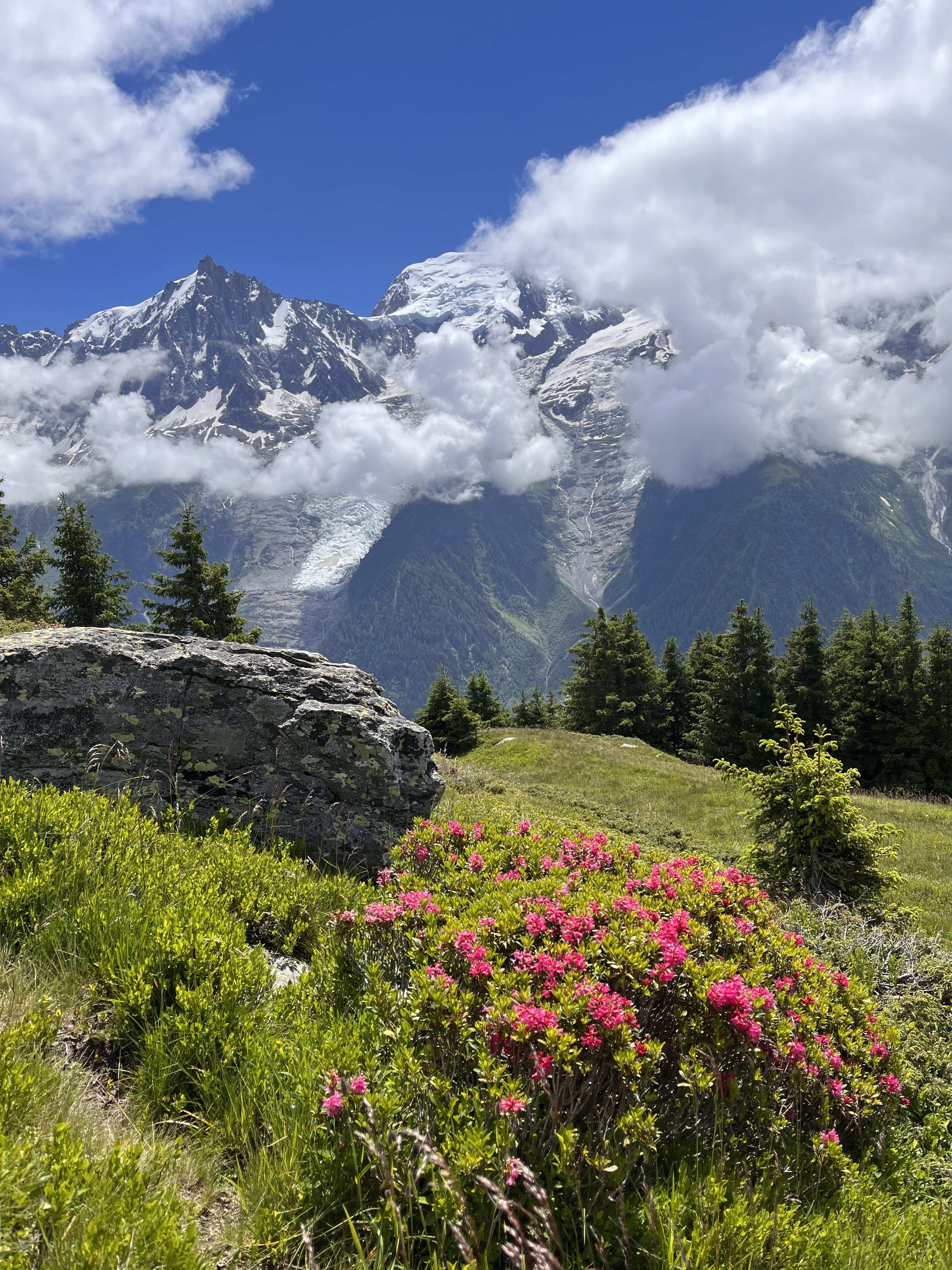 Chailloux©OT_Chamonix-Mont-Blanc_LB (2)