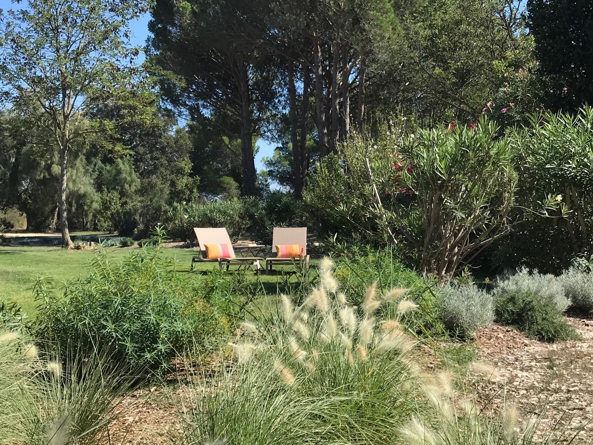 La Forge du Petit Badon, Arles - photo 2