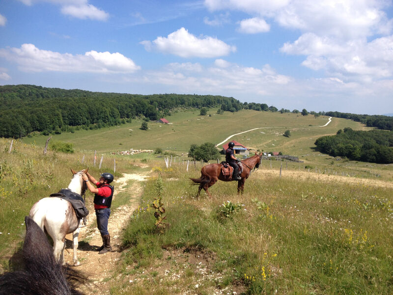 Randonnée équestre dans le Haut-Valromey