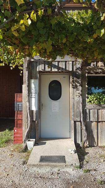 Les Oliviers de Maurice_Mondragon