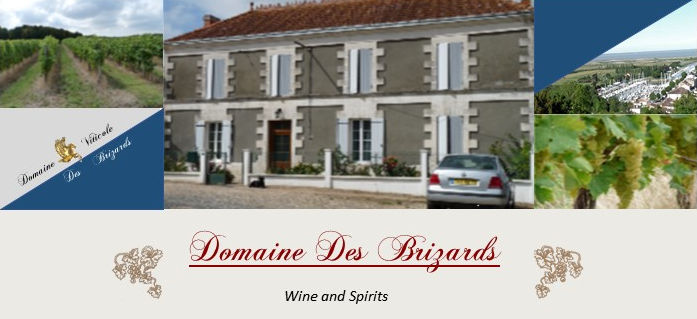 Domaine des Brizards