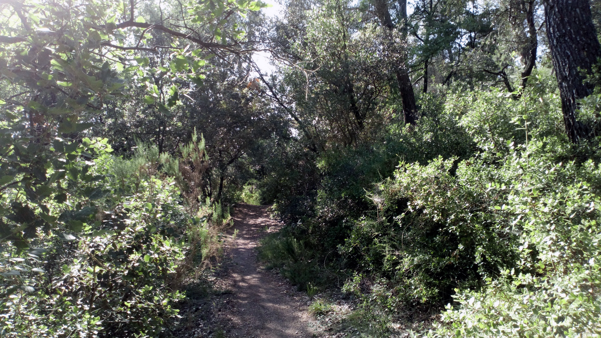 Circuit des Collines, Gardanne - photo 2