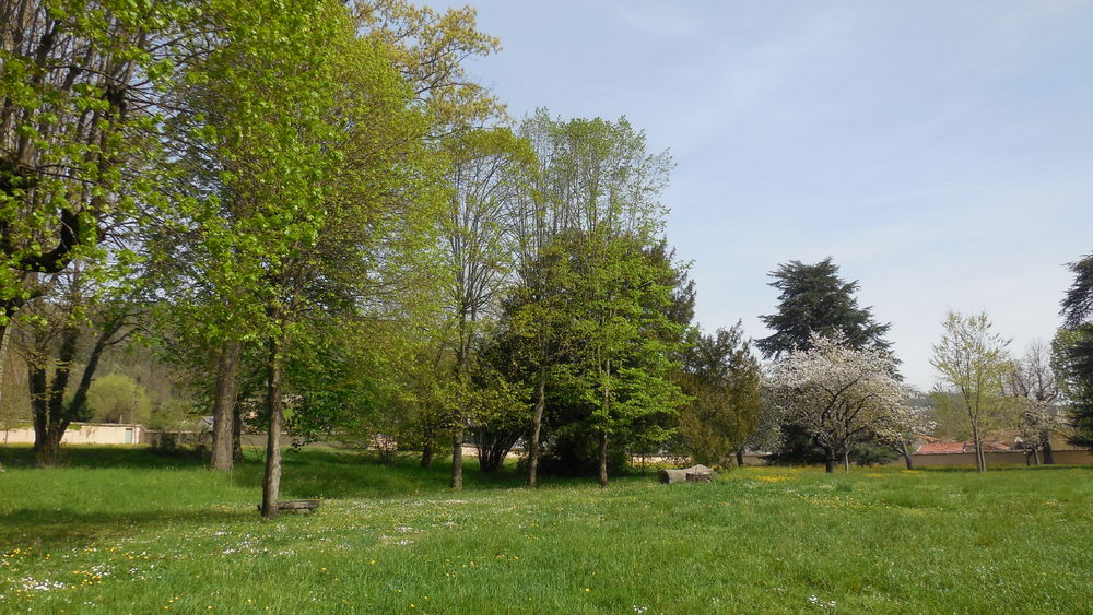 Parc du château de la Sathonette