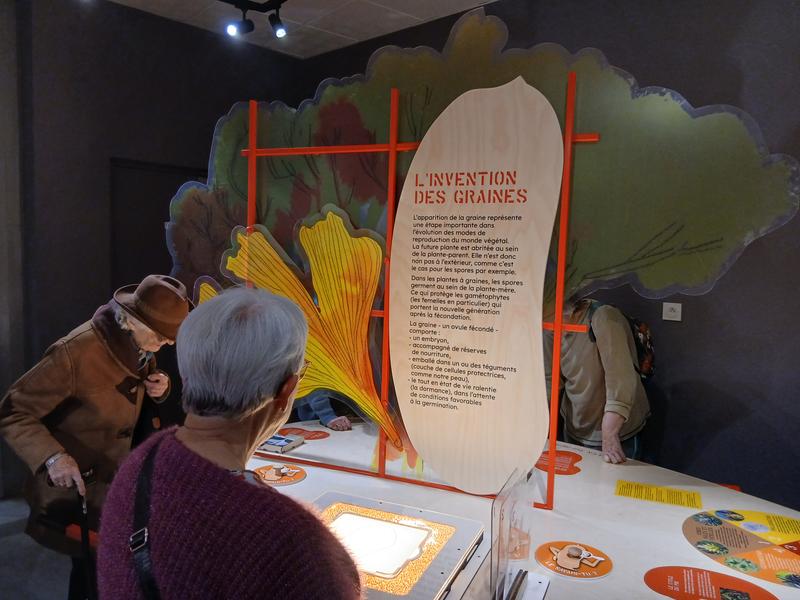 Expo Graines : comment naissent les plantes ? Expo Graines : comment naissent les plantes ?