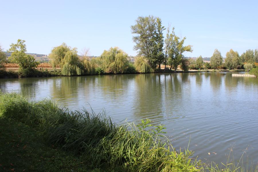 Etang Touristique d'Ambérieux d'Azergues_Ambérieux