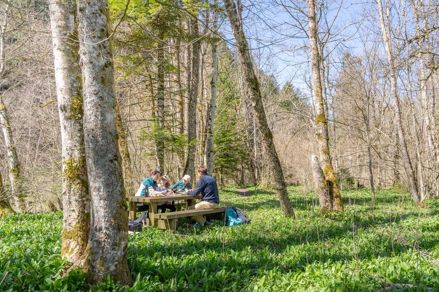Le sentier des étoiles_Aillon-le-Jeune