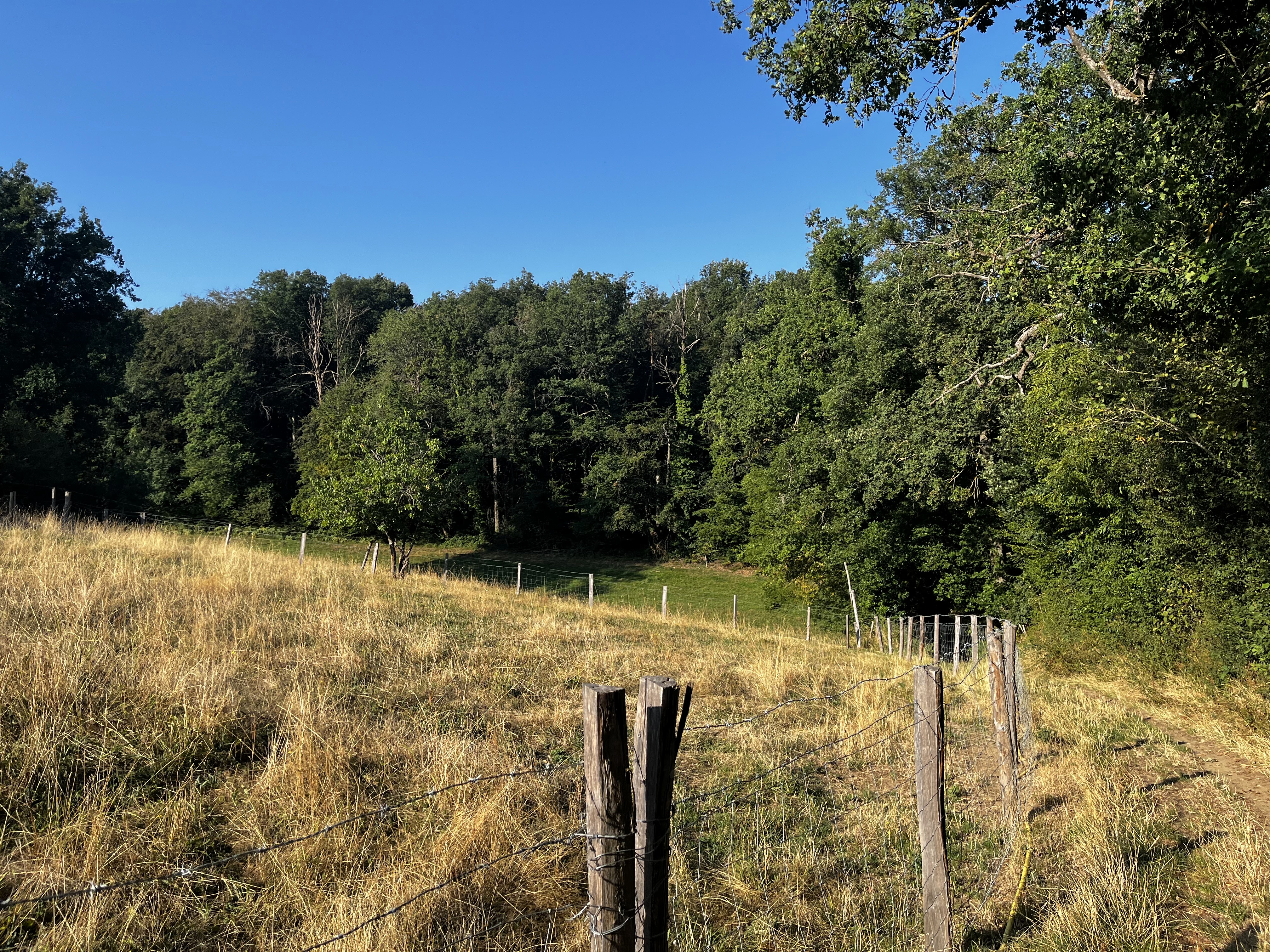 Balade au Moulin Garin_Saint-Martin-en-Haut