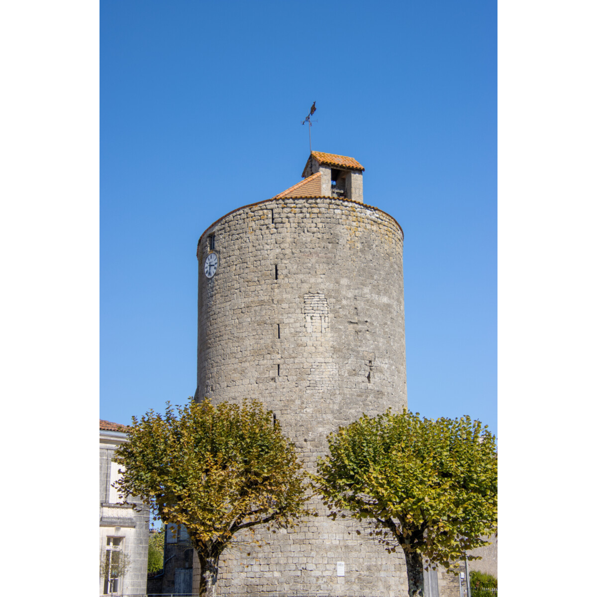 Visite guidée  - Aulnay-de-Saintonge, entre pierre et mémoire